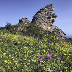 Scenic view of rocks on field against clear sky