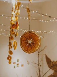 Close-up of fruit hanging on plant