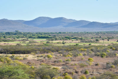 Scenic view of landscape against sky