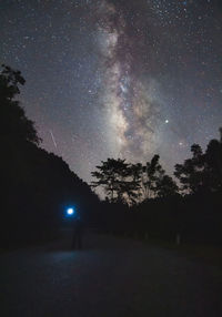 Silhouette trees against sky at night