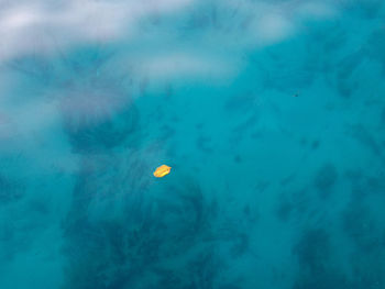 Low angle view of sea against blue sky