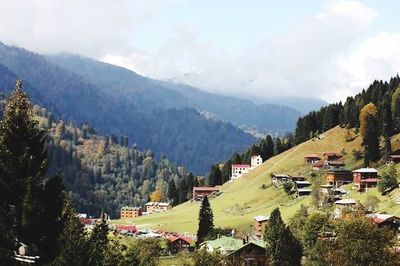 Houses in village