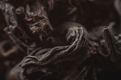 Black loose leaf tea as a background. texture of dry black tea leaves. dark background. extreme