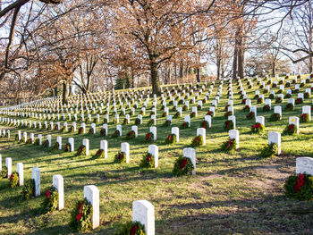 Row of cemetery against trees