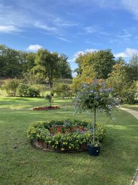 Flower trees in park against sky