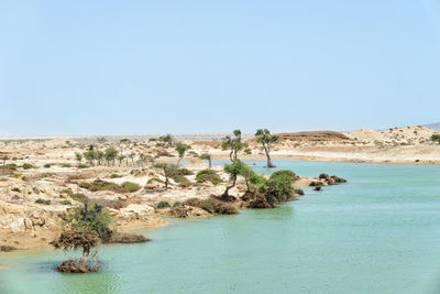 Scenic view of sea against clear sky