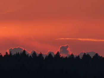 Silhouette trees against orange sky