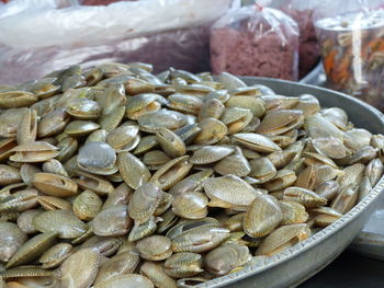 Close-up of seafood for sale in market