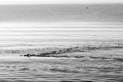 Man swimming in sea