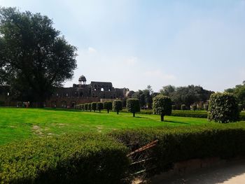 Trees and plants on field against sky