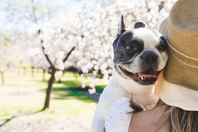 Portrait of dog