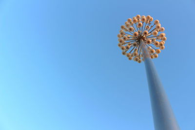 Low angle view of flower against clear blue sky