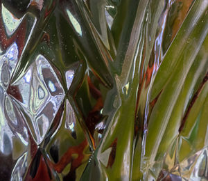 Full frame shot of wet plants