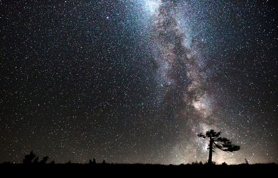 Rear view of man standing at night