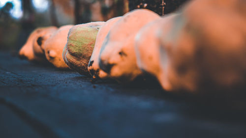 Close-up of person lying on floor