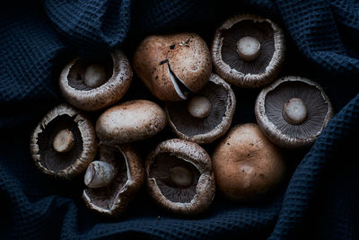 High angle view of mushrooms