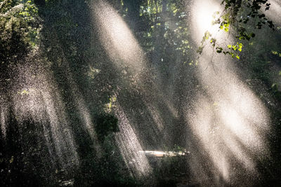 High angle view of waterfall in forest