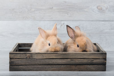 Portrait of two people sitting on bench