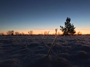 Scenic view of field against clear sky during sunset