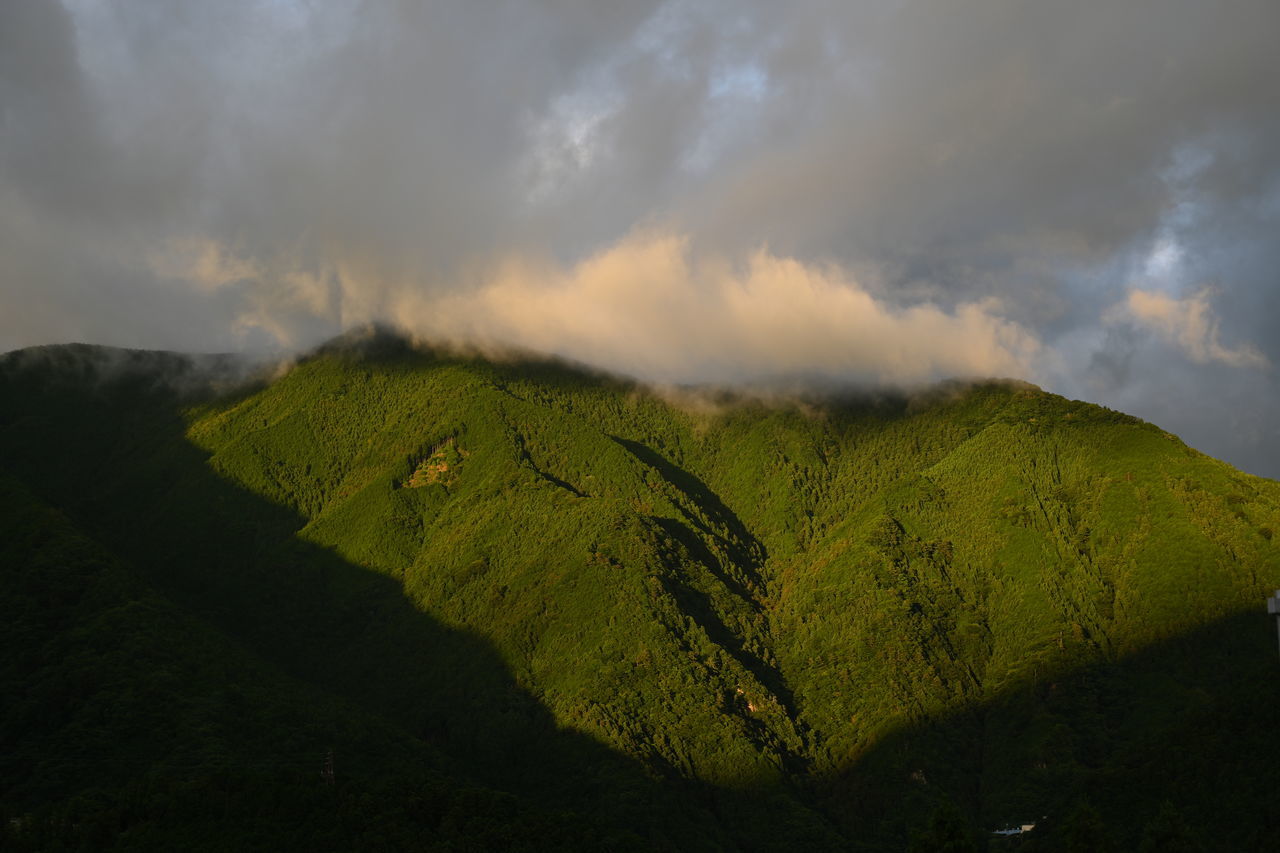 cloud - sky, beauty in nature, scenics - nature, tranquil scene, green color, mountain, tranquility, nature, landscape, non-urban scene, environment, sky, plant, no people, land, tree, day, growth, outdoors, remote, power in nature