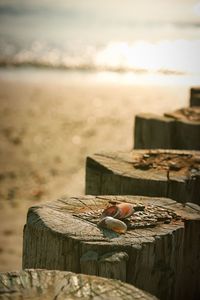 Close-up of chocolate on wooden post at beach against sky