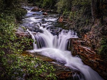 Scenic view of waterfall in forest
