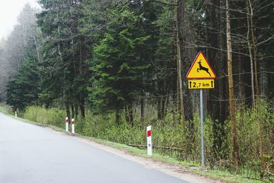 Road sign by trees