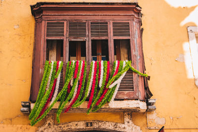 Low angle view of potted plants on window of building