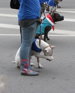 Low section of woman walking on road