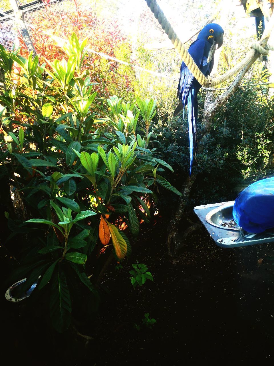 VIEW OF A BIRD IN A WATER