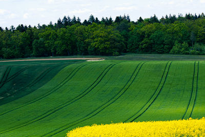Scenic view of farm against sky