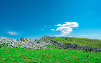 Landscape of green grass and rock mountain in spring with beautiful blue sky and white clouds. 