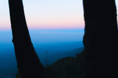 Silhouette trees on landscape against sky during sunset