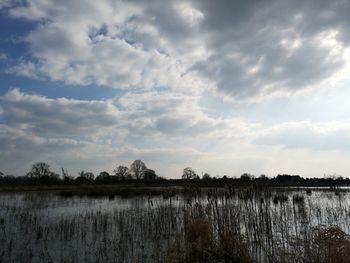 Scenic view of lake against sky