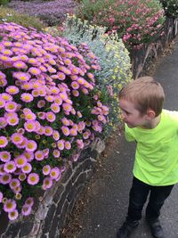 Boy looking at pink flowers blooming by road