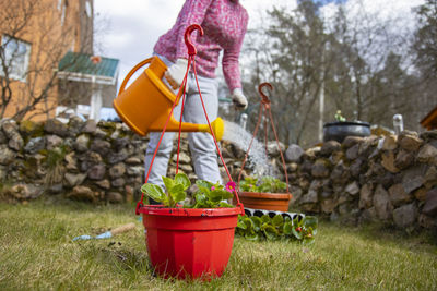 Woman watering potted flowers from a garden watering can in the backyard of a house in spring