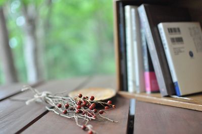 Close-up of dry plant by window at home