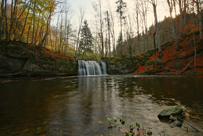 Scenic view of waterfall in forest during autumn