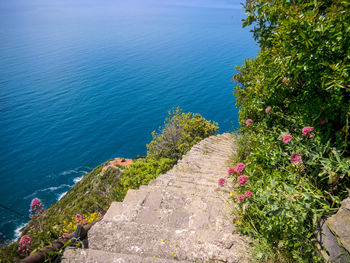 High angle view of plants by sea against blue sky