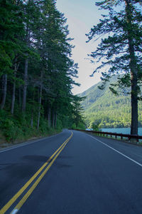 Empty road along trees in forest