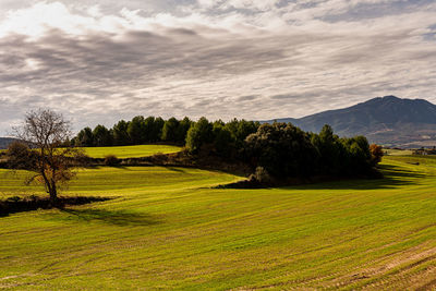 Scenic view of golf course against sky