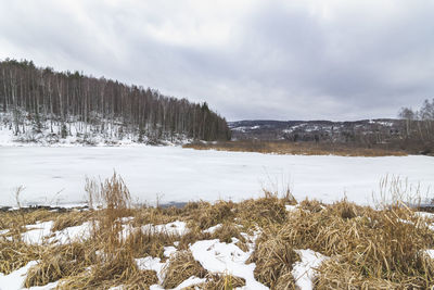 Landscape of vlasina lake in winter with frozen water and snow covered shores. landscape photography