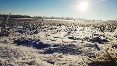 Scenic view of snow covered field against sky