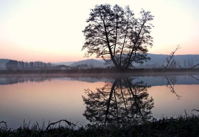 View of trees by calm lake at sunset