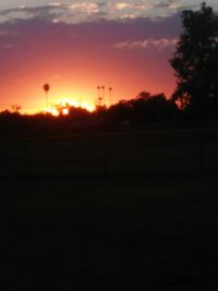 Silhouette of trees at sunset