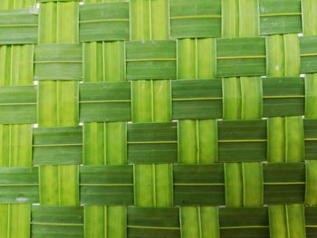 Full frame shot of green leaves