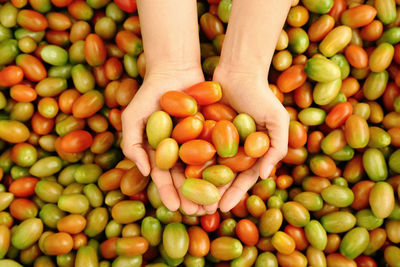 Close-up of hand holding tomatoes