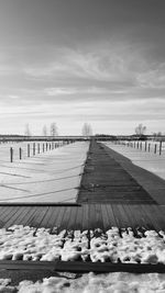 Boardwalk amidst plants against sky during winter