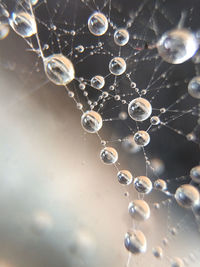 Low angle view of water drops on spider web