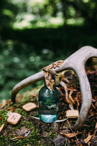 Close-up of old metal in garden